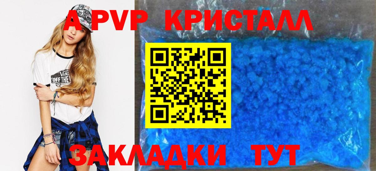 Alfa_PVP СК Аргун